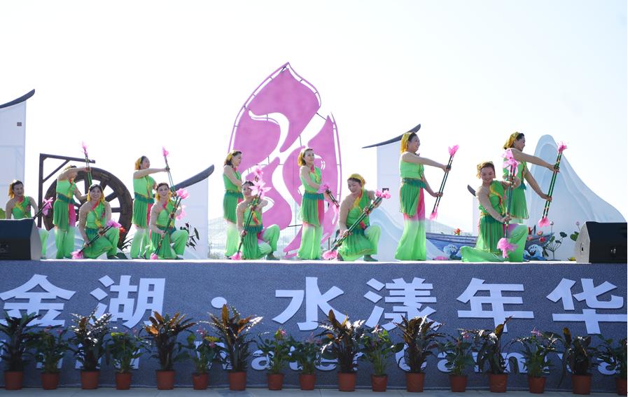 江苏金湖荷花风景,江苏淮安荷花之都金湖