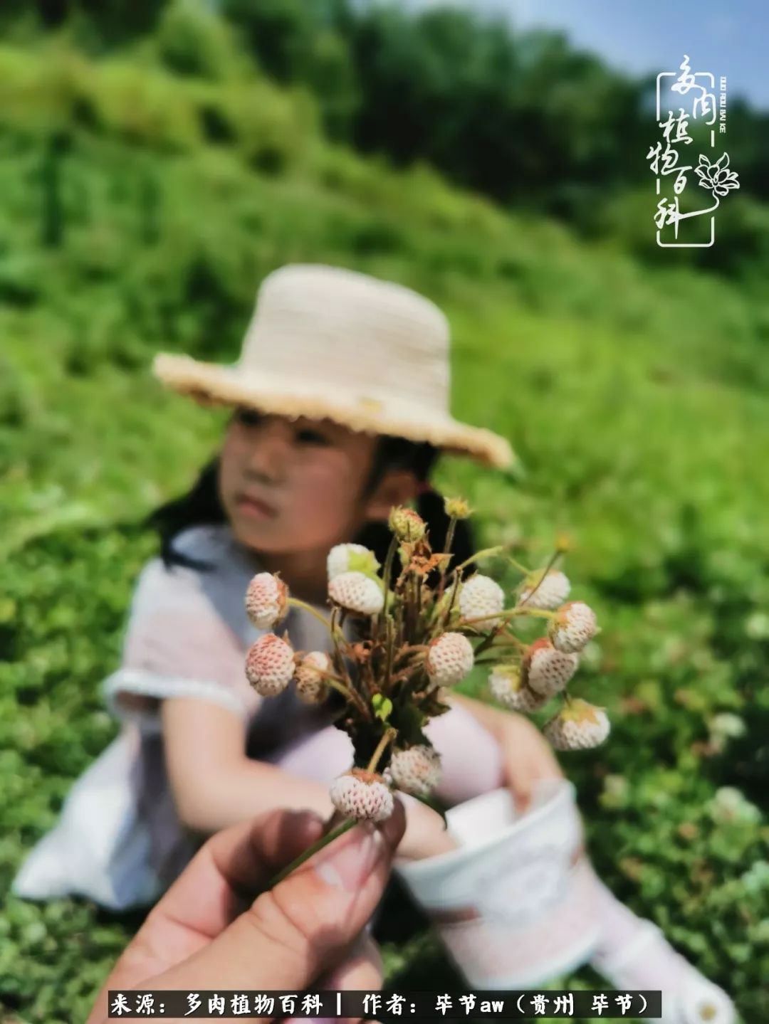 有多少次的会心一笑，全因多肉！那是一种心间流出的甜