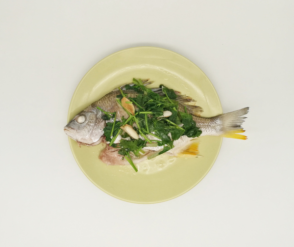 做鱼没料酒,做鱼没有姜蒜