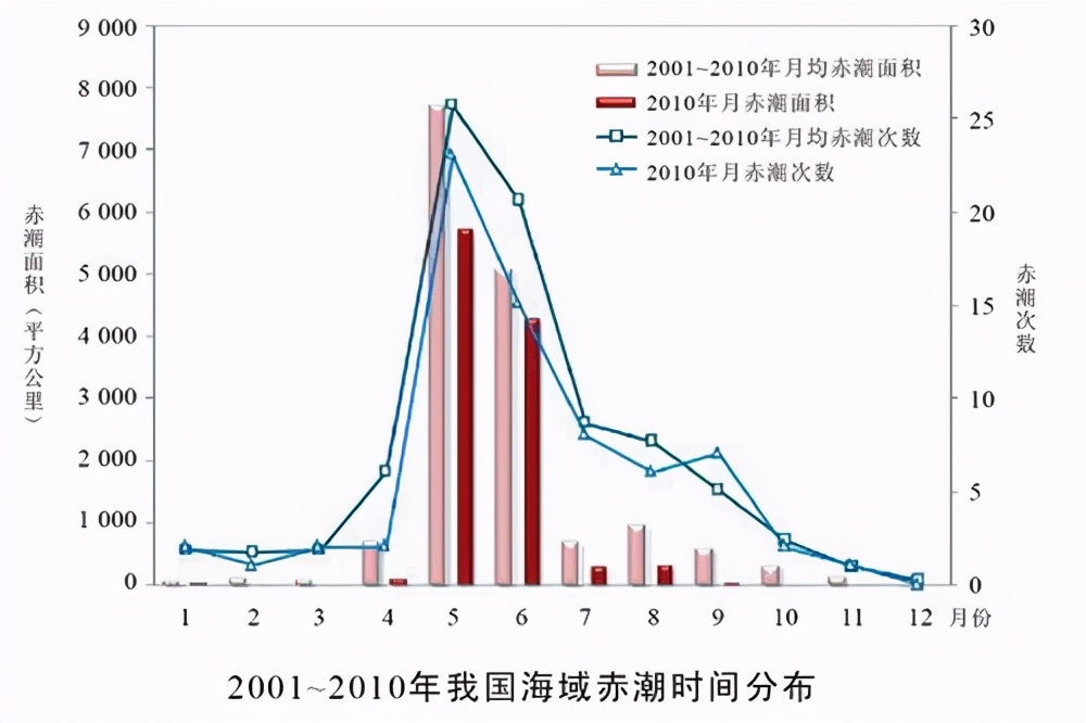 这种贝比眼镜蛇毒强80倍,海员食用后中毒身亡,为何还常被人吃