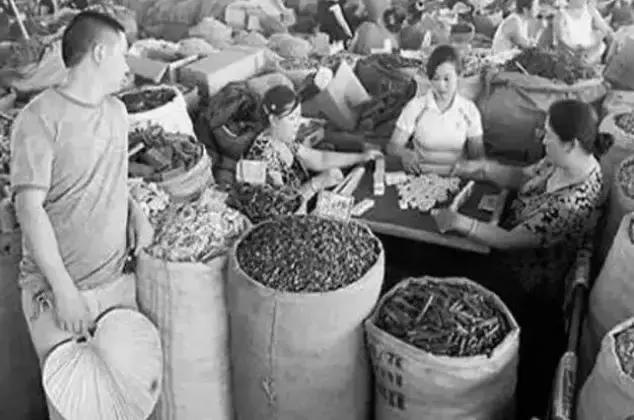 荷花池复原,荷花池变身素材