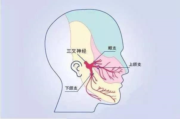 吃东西总是感觉苦是什么原因,吃东西总觉得很苦咋回事