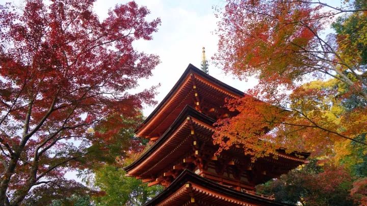 何必去远方原唱视频,何必去远方京都在左常熟在右