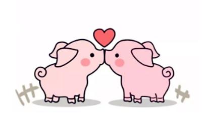 简笔画小动物猪的画法,动物猪简笔画儿童画