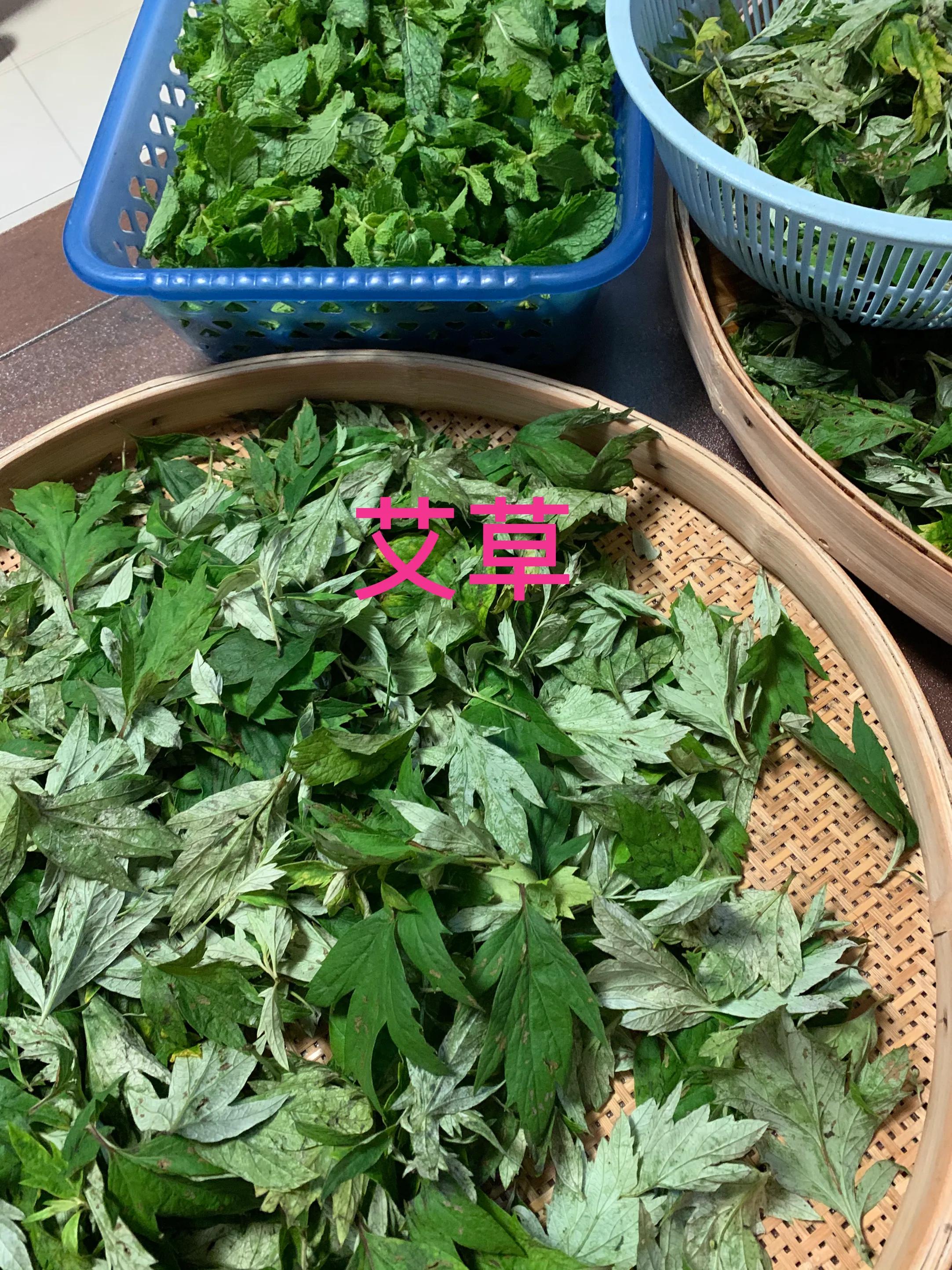 自制驱蚊止痒无添加的艾叶薄荷膏,幼儿园自制艾草薄荷膏的简单方法