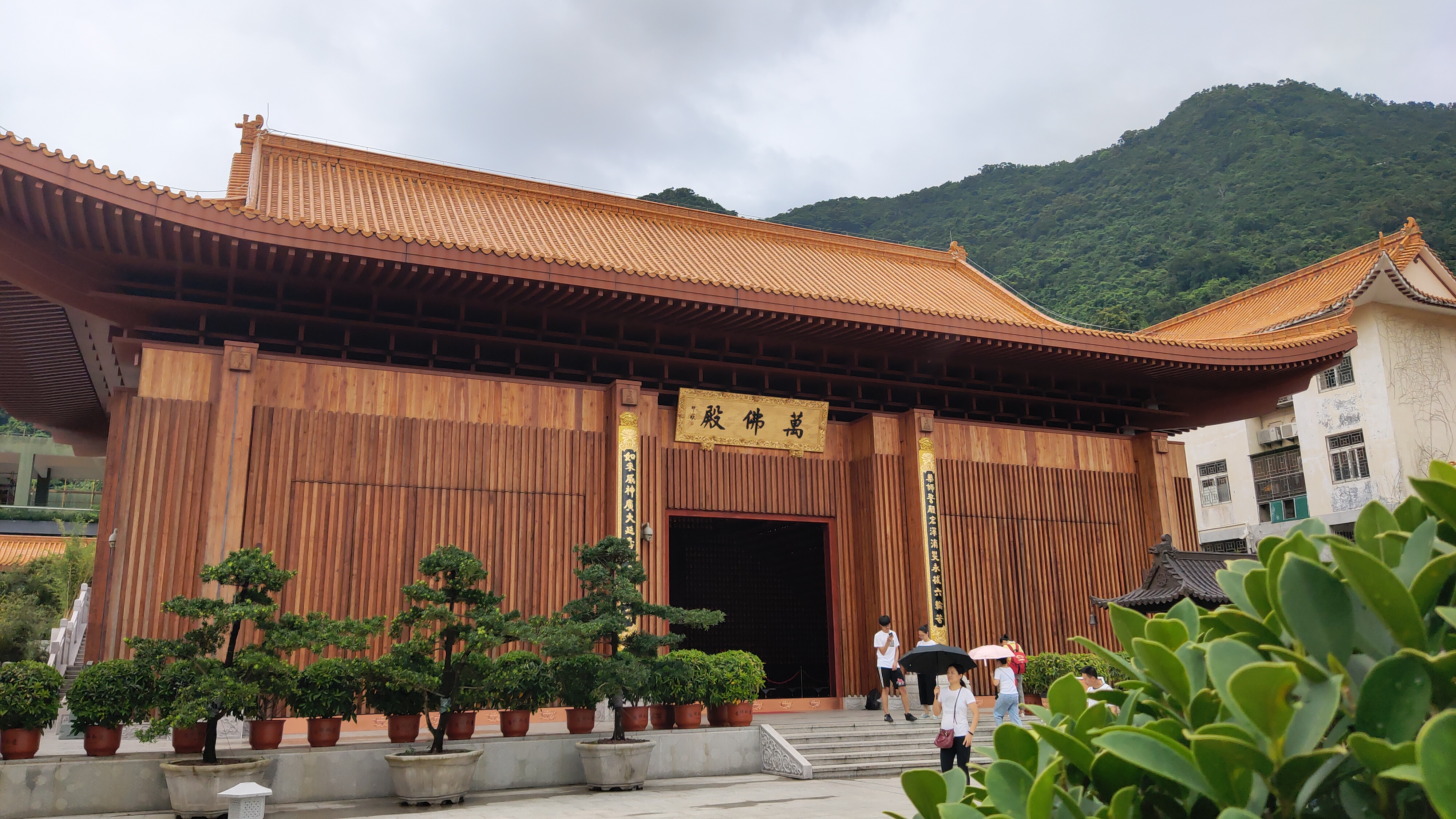 我从6岁到16岁的变化,从6开始到16一共有几个数