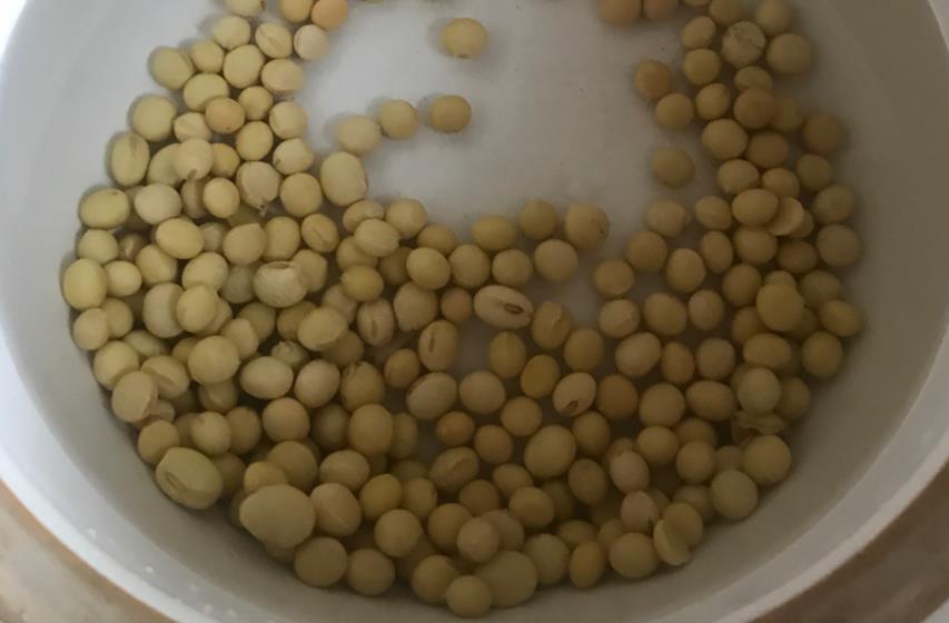 过年了黄豆炖猪蹄是一道好菜,软烂的黄豆炖猪蹄