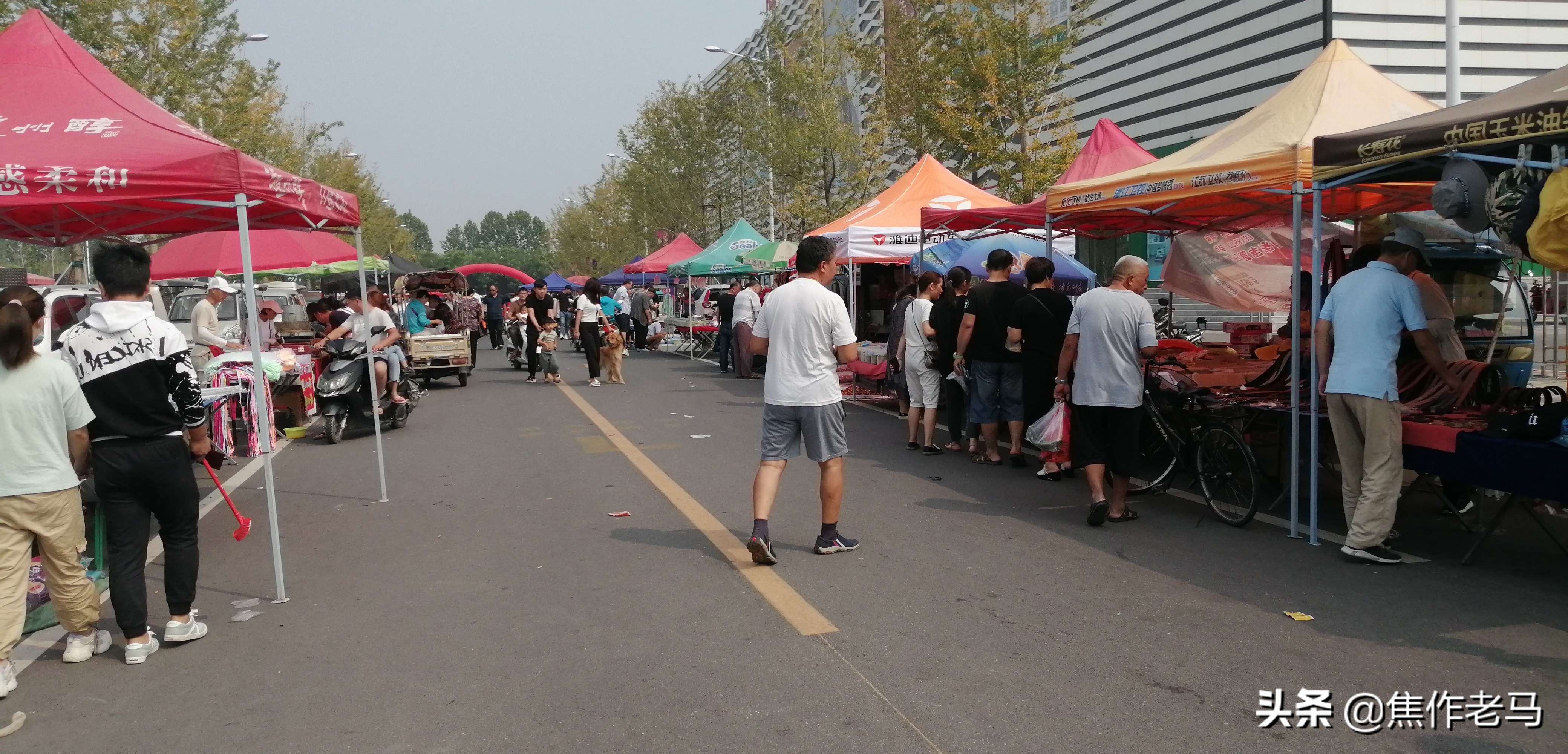 焦作星期天市场搬到鸿运商城了吗,焦作鸿运星期天市场在什么位置