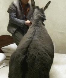 搞笑gif妹子的内心是崩溃的,搞笑gif妹子原来是个逗比