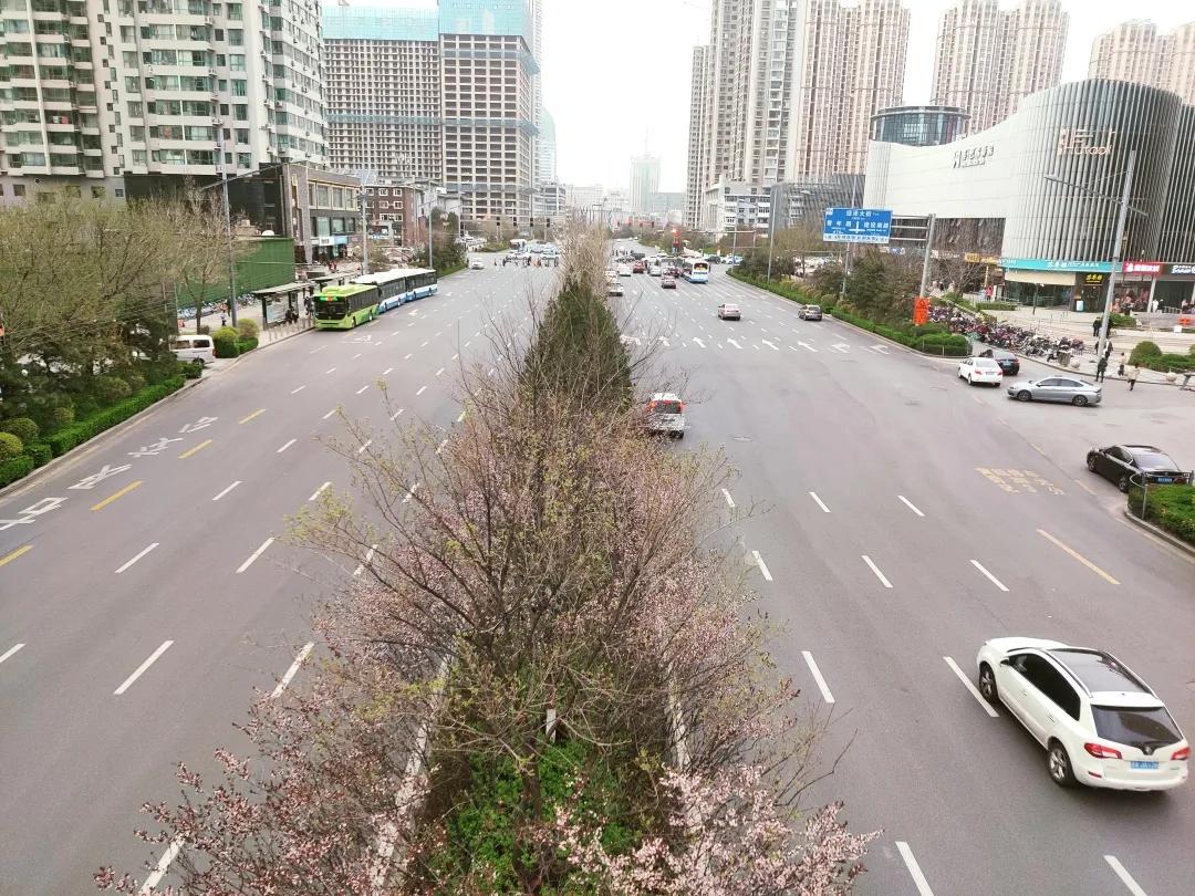 太原的滨河路的由来,太原记忆并州路六十年的变迁