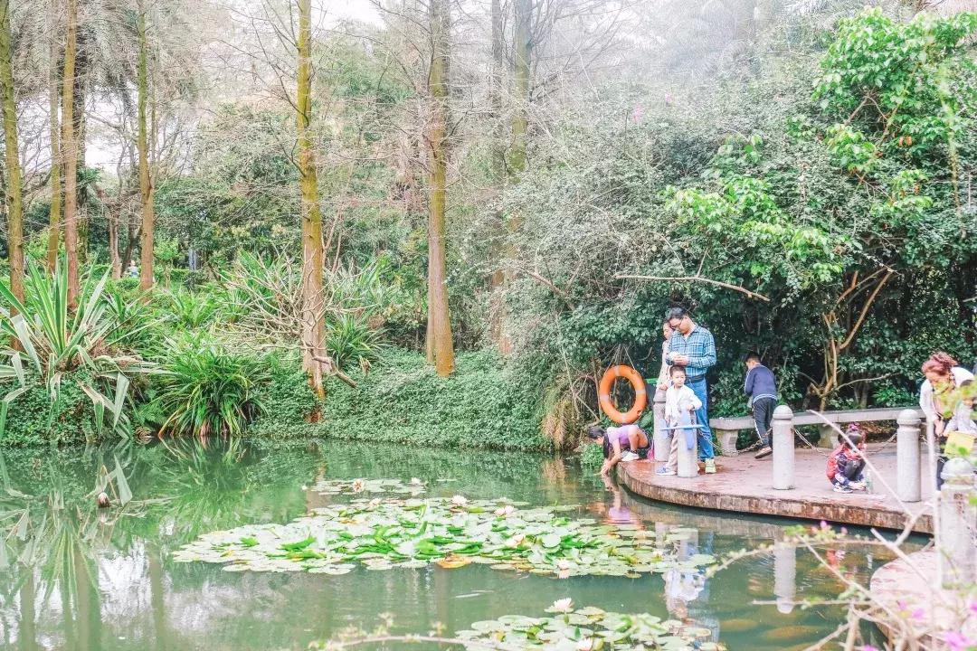 走进南头,这里是中山