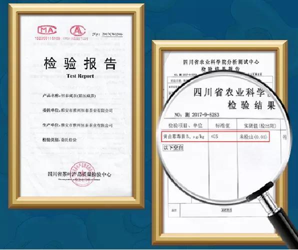 黑茶五步解决黄曲霉毒素风险