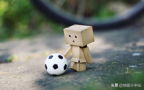 花开半夏，而你却迷了路