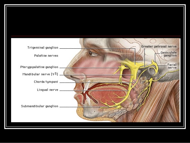 面瘫嘴歪了属于什么病,嘴巴歪是面瘫还是中风