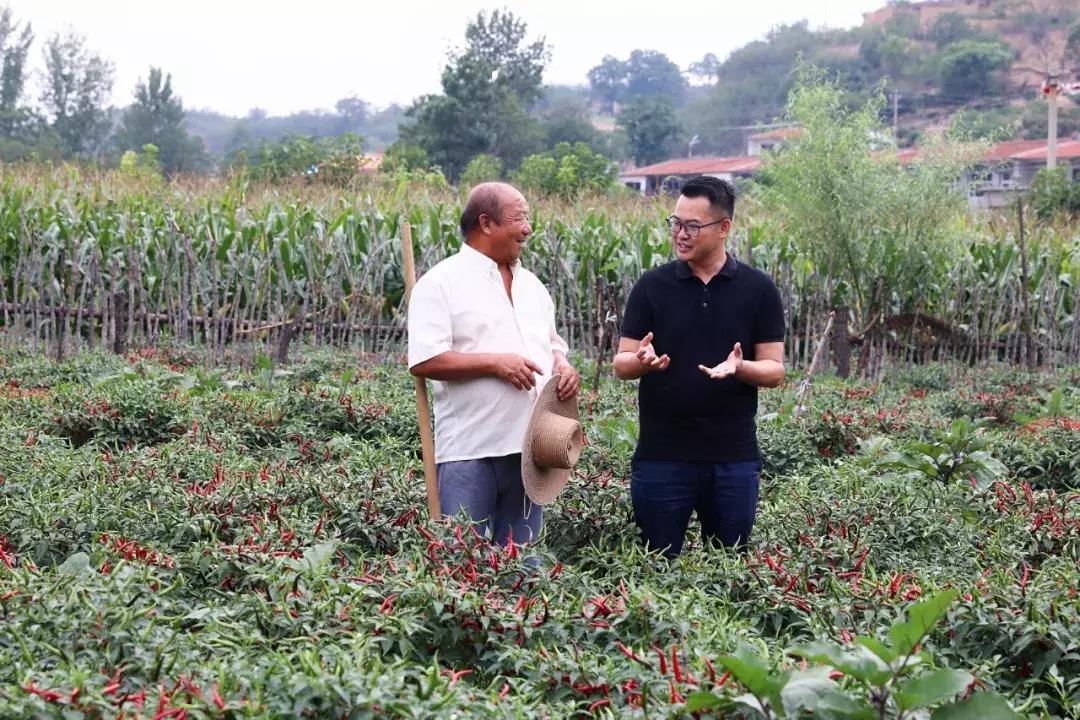 阿里巴巴一家半导体公司,阿里巴巴一家云计算公司