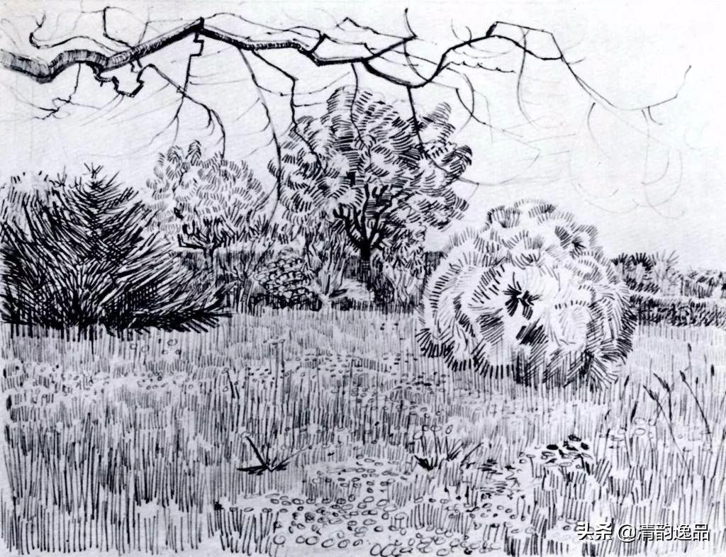 梵高vangogh向日葵,梵高的后期画风解析