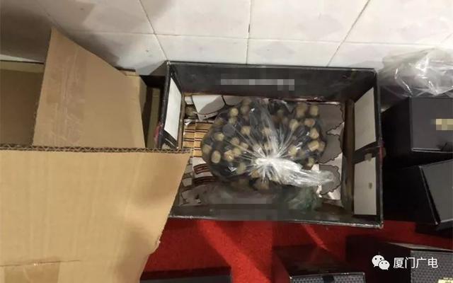 厦门翔安警察查获假酒,厦门假洋酒案件最新