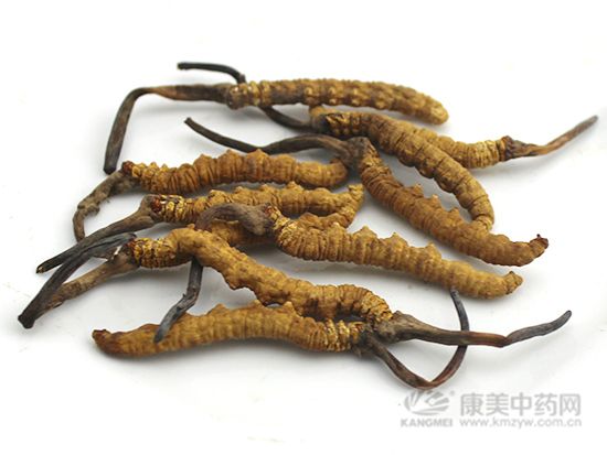 本周药市点评:小品种活跃,大品种整体小范围震荡