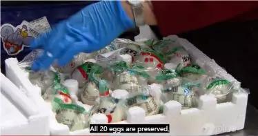 出国被海关劝退护照签证还能用吗,出国被海关劝返签证还能用吗