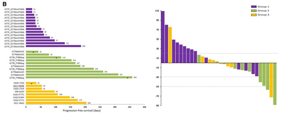 her2肺癌靶向药入集采了吗,肺癌her2靶向药治愈率