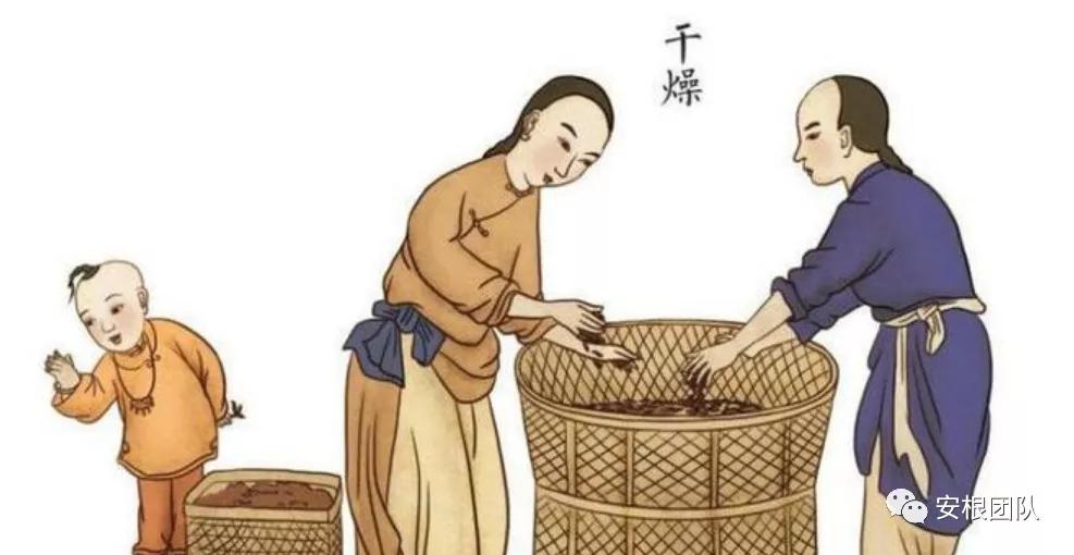 工夫红茶发酵程度,工夫红茶的干燥过程图片