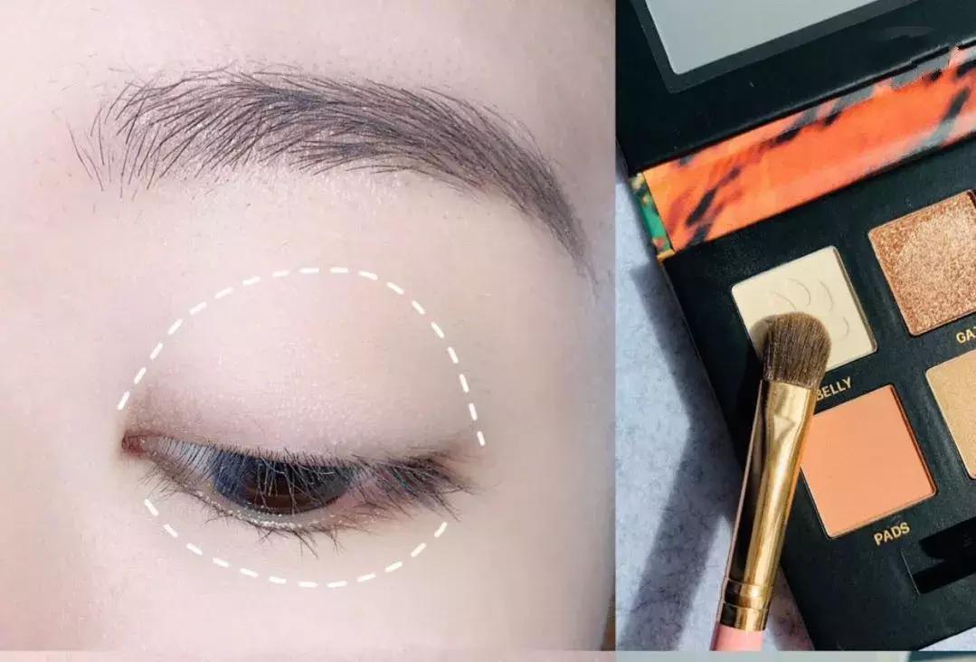 眼影怎么画新手教程,单眼皮怎样画眼影好看