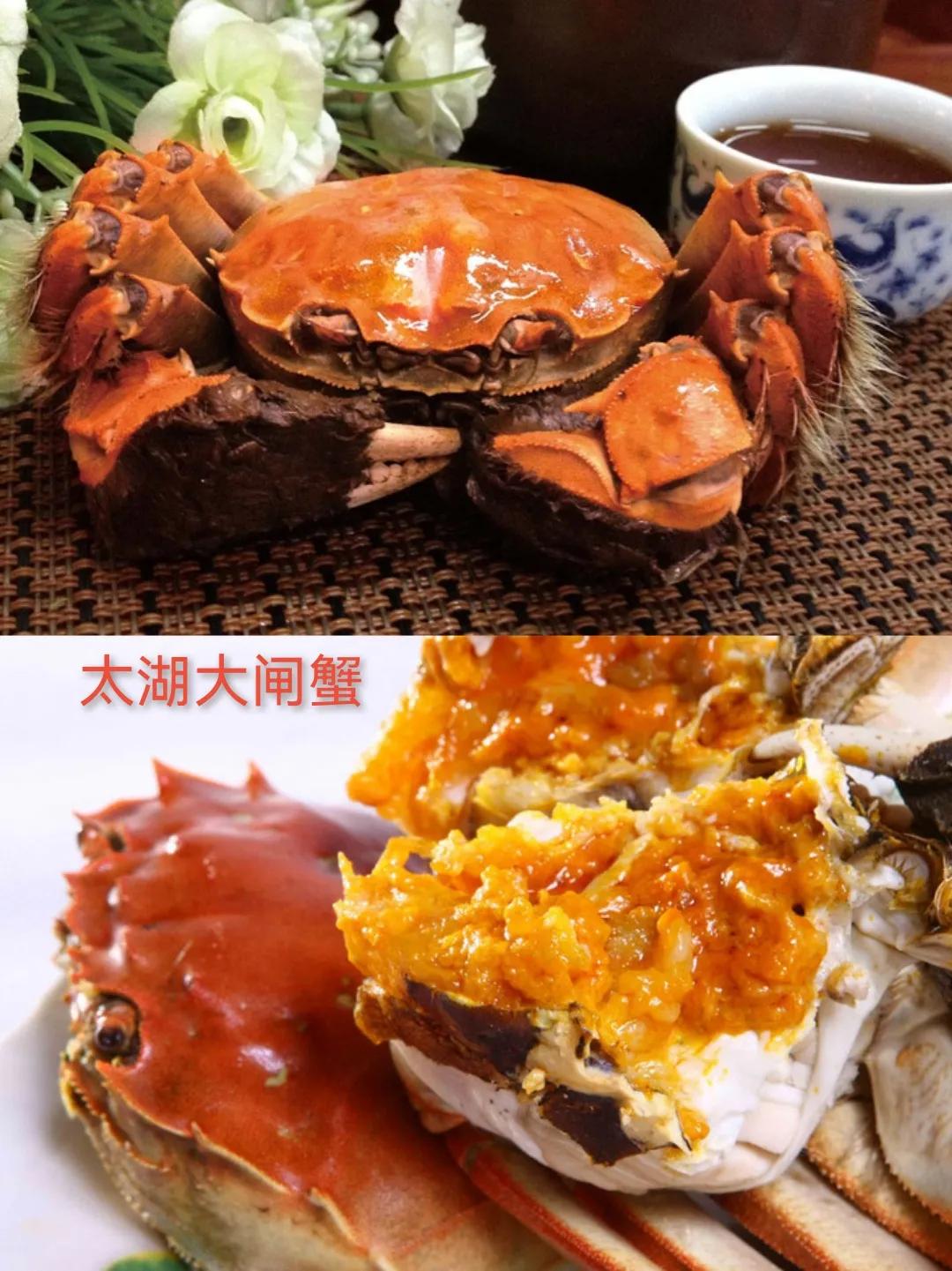 江苏螃蟹出名的地方,江苏十三市螃蟹图片