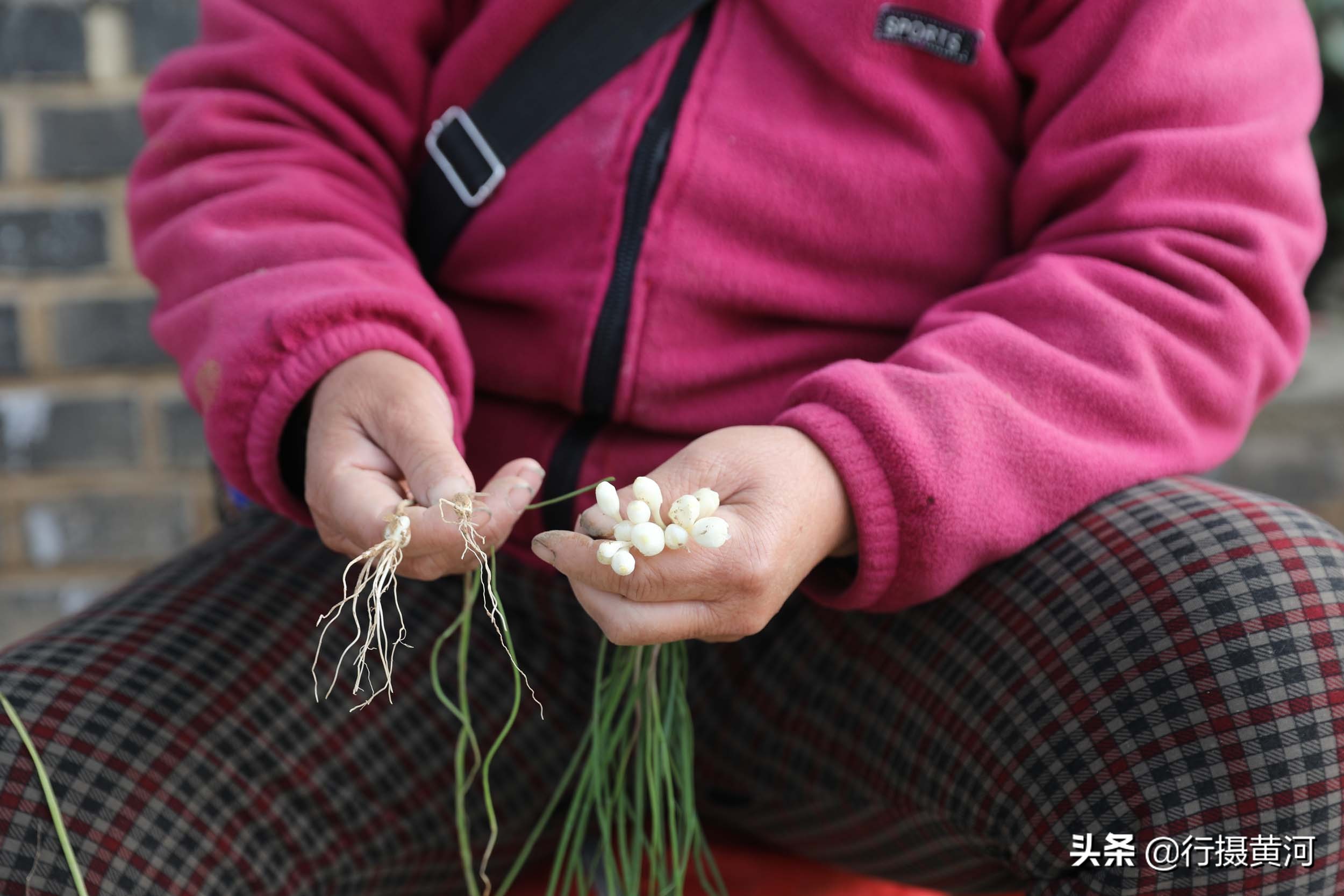 河南5旬大妈村口卖“野味”，干得还是无本生意，收入让她很意外