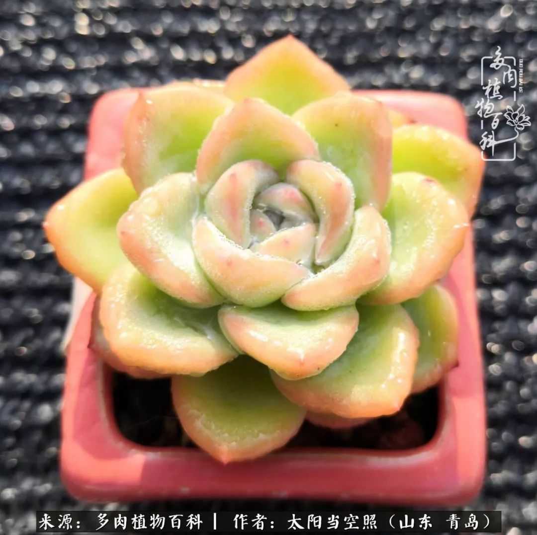 离家在外才发现最难忘的是故乡情,离家在外看见家乡的东西