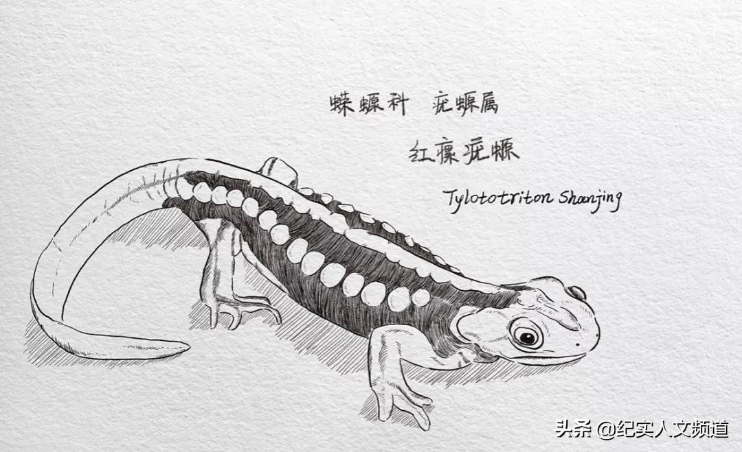 13小时徒步翻越高黎贡山,永远的行走腾讯