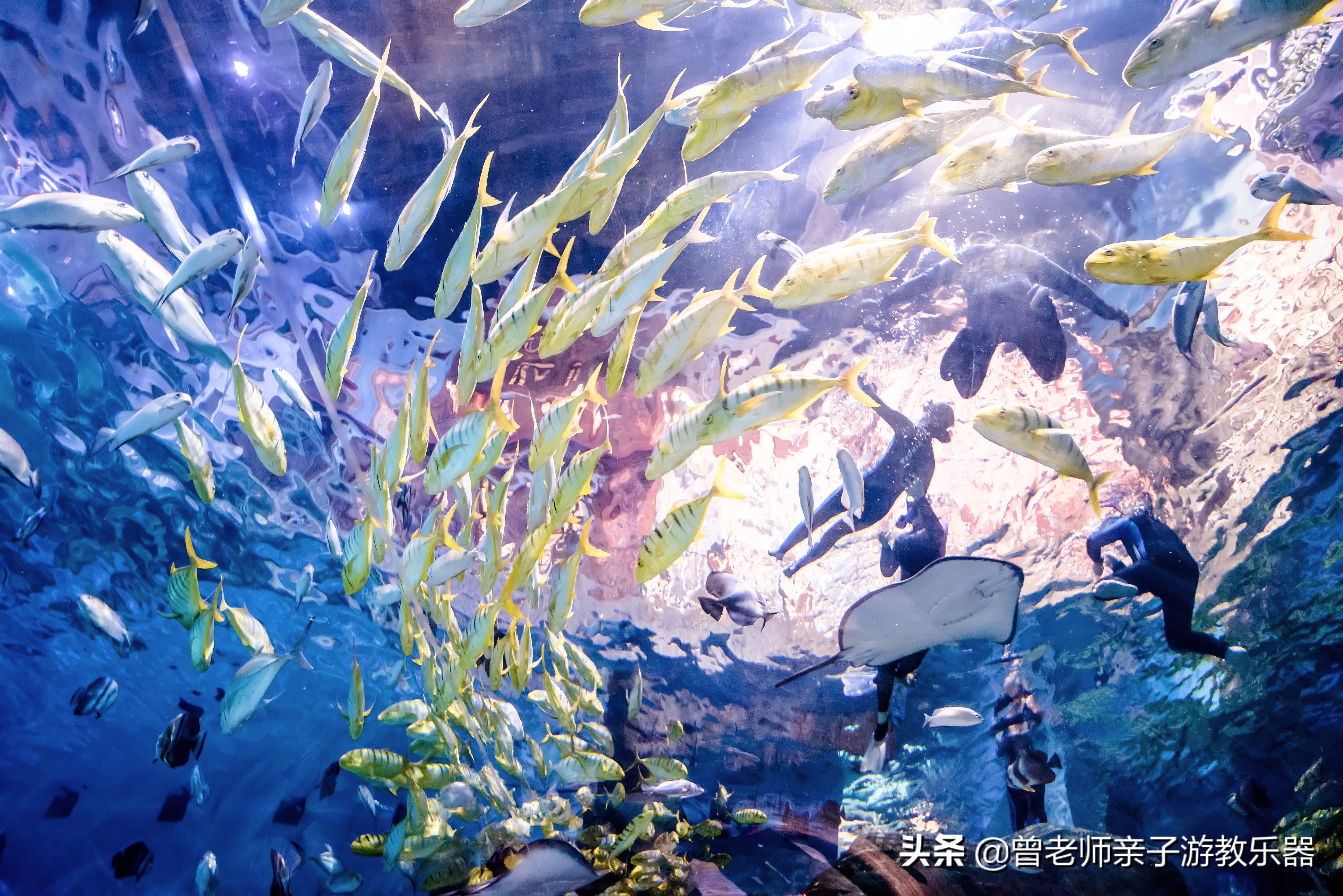 西安遛娃夏日,国庆西安周边2-3天溜娃