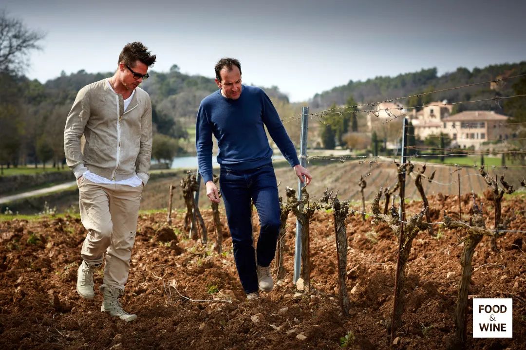 桃红酒推荐,推荐几款桃红酒