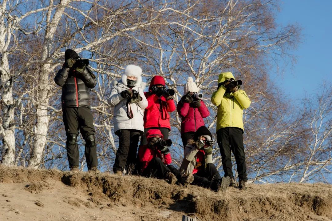 体感39度什么体验,体感温度46度是什么概念