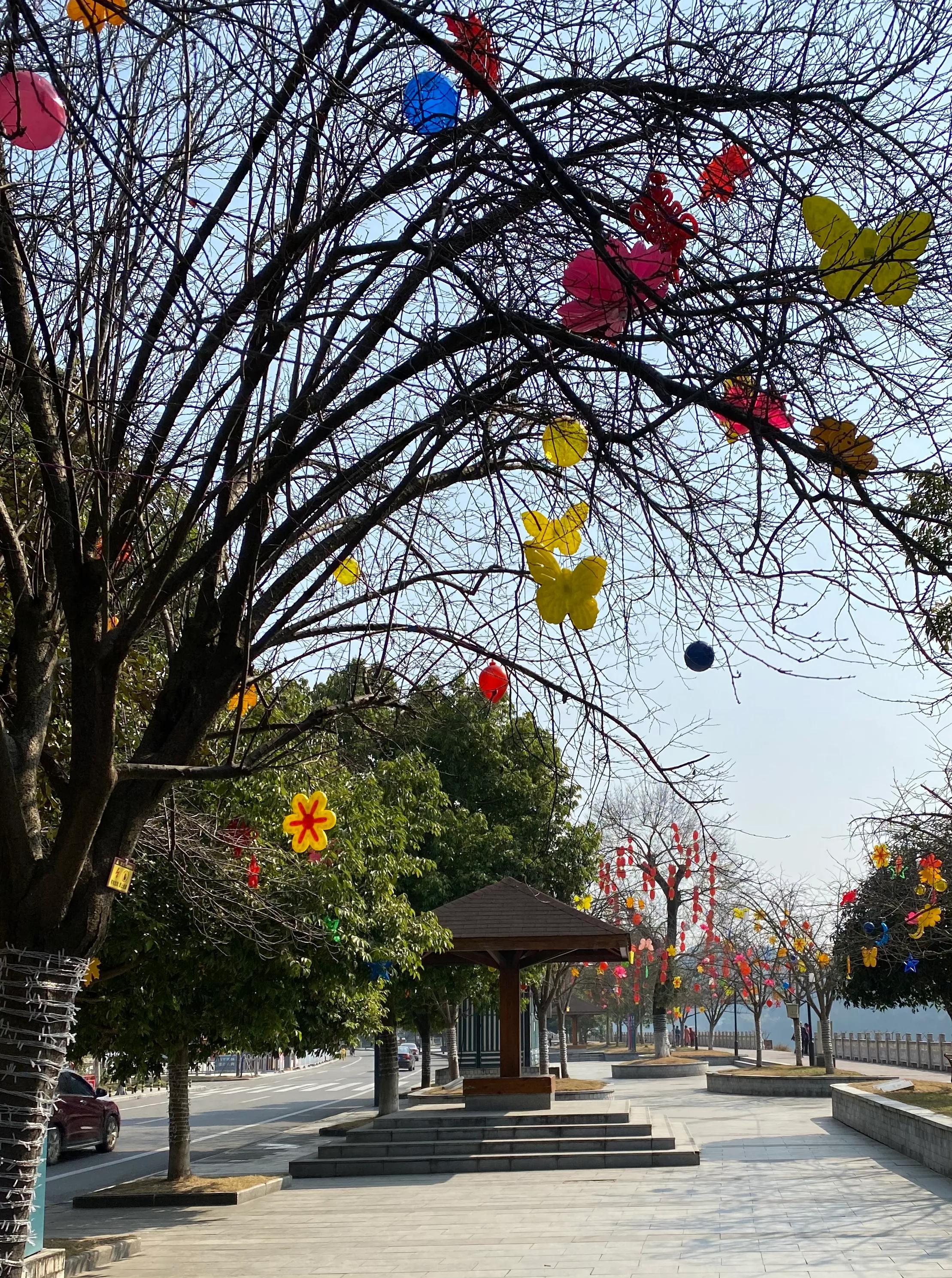 善良的种子,善良的种子故事