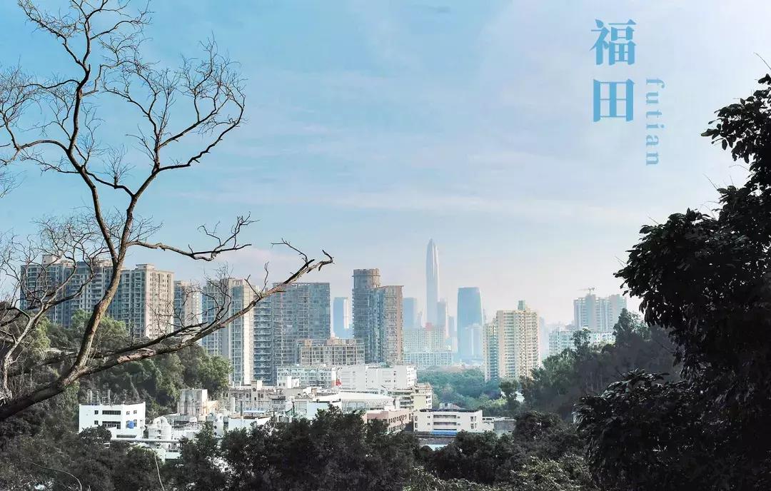 福田大地的变化,福田中心区变化