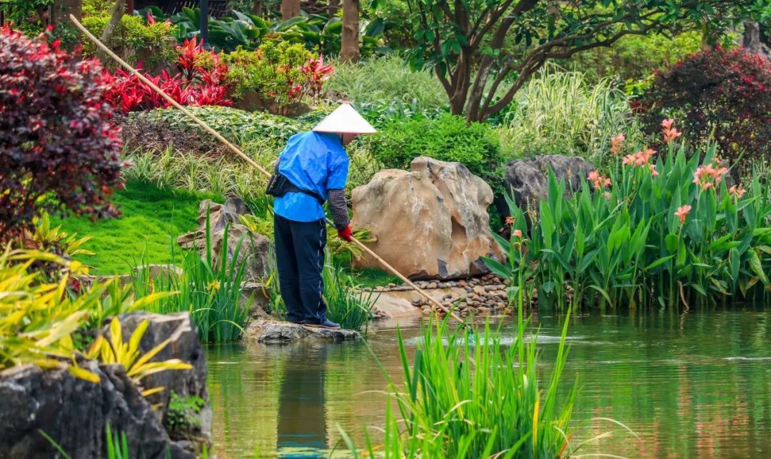 宋词三百首一百个经典名句大全,宋词三百首名句赏析