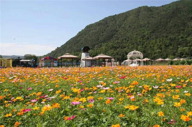 温州暑假去哪玩推荐好地方,温州暑假亲子游