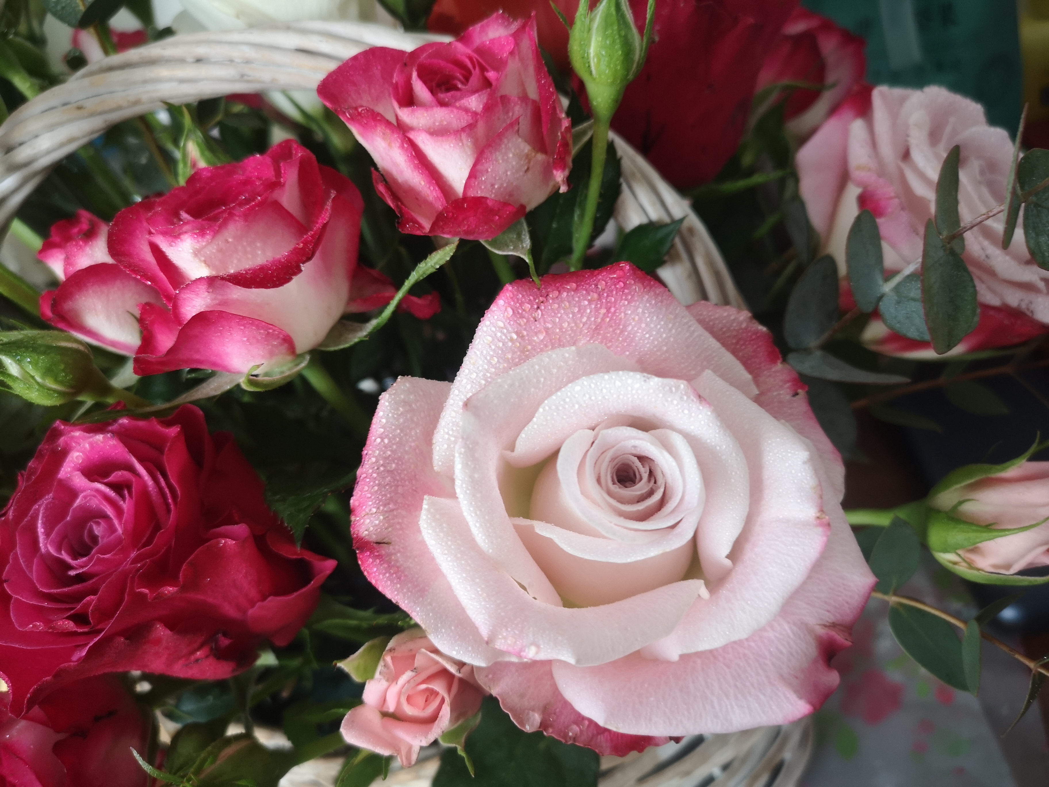 儿子决定去纹身了家长怎么办,儿子纹身如何教育