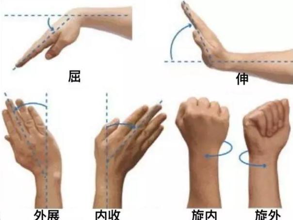 前臂力量不够？只需3个动作，就能练壮前臂，让你的手臂更有型