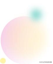 最好的进口玫瑰,进口玫瑰品种