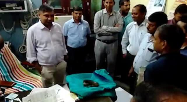 14岁女孩吃头发胃里取出毛球,一女孩胃里取出5斤毛球