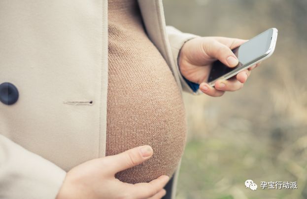 孕期周刊，第十三周