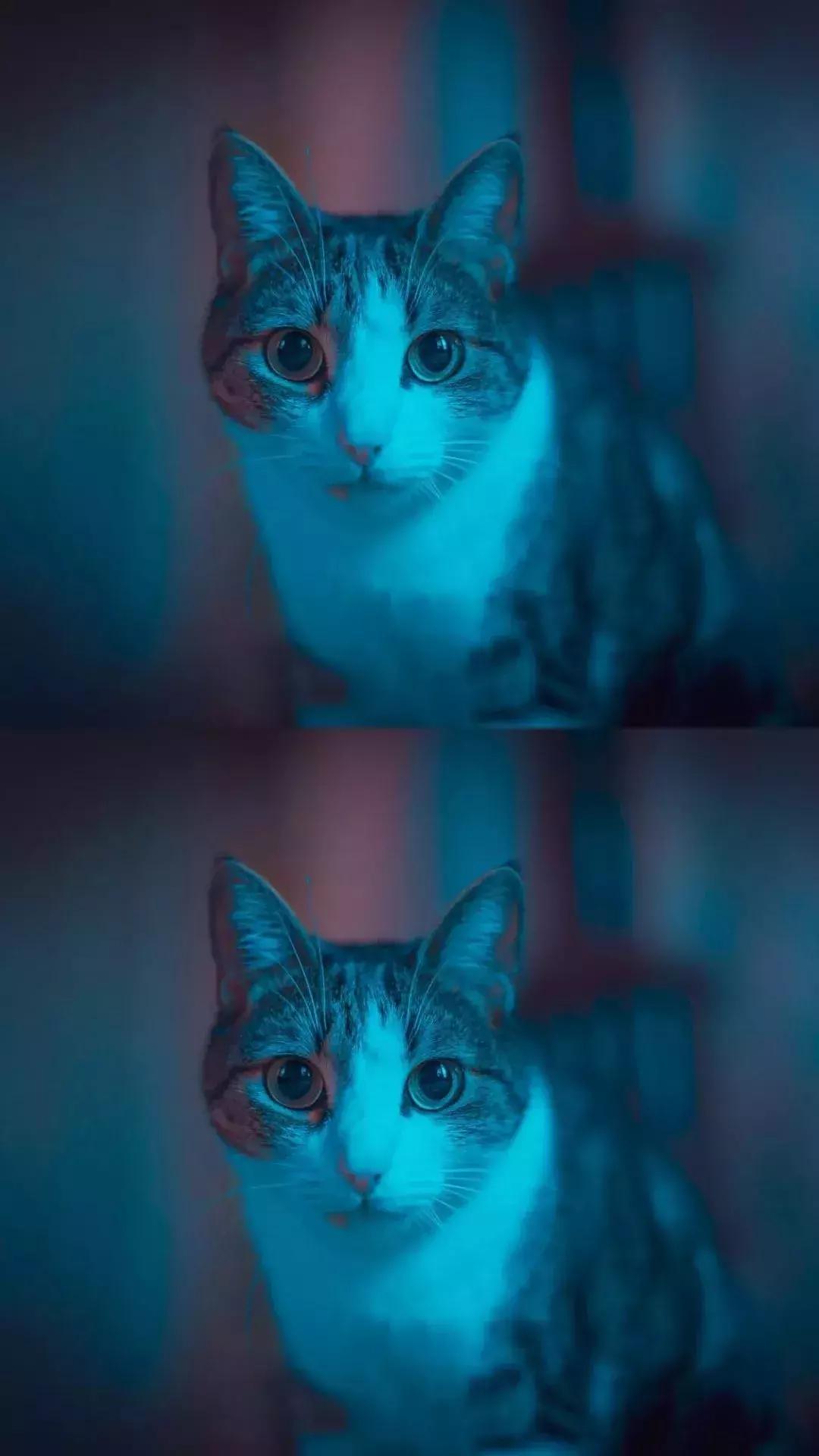 好看的iphone壁纸推荐,iphone13壁纸4k全面屏风景