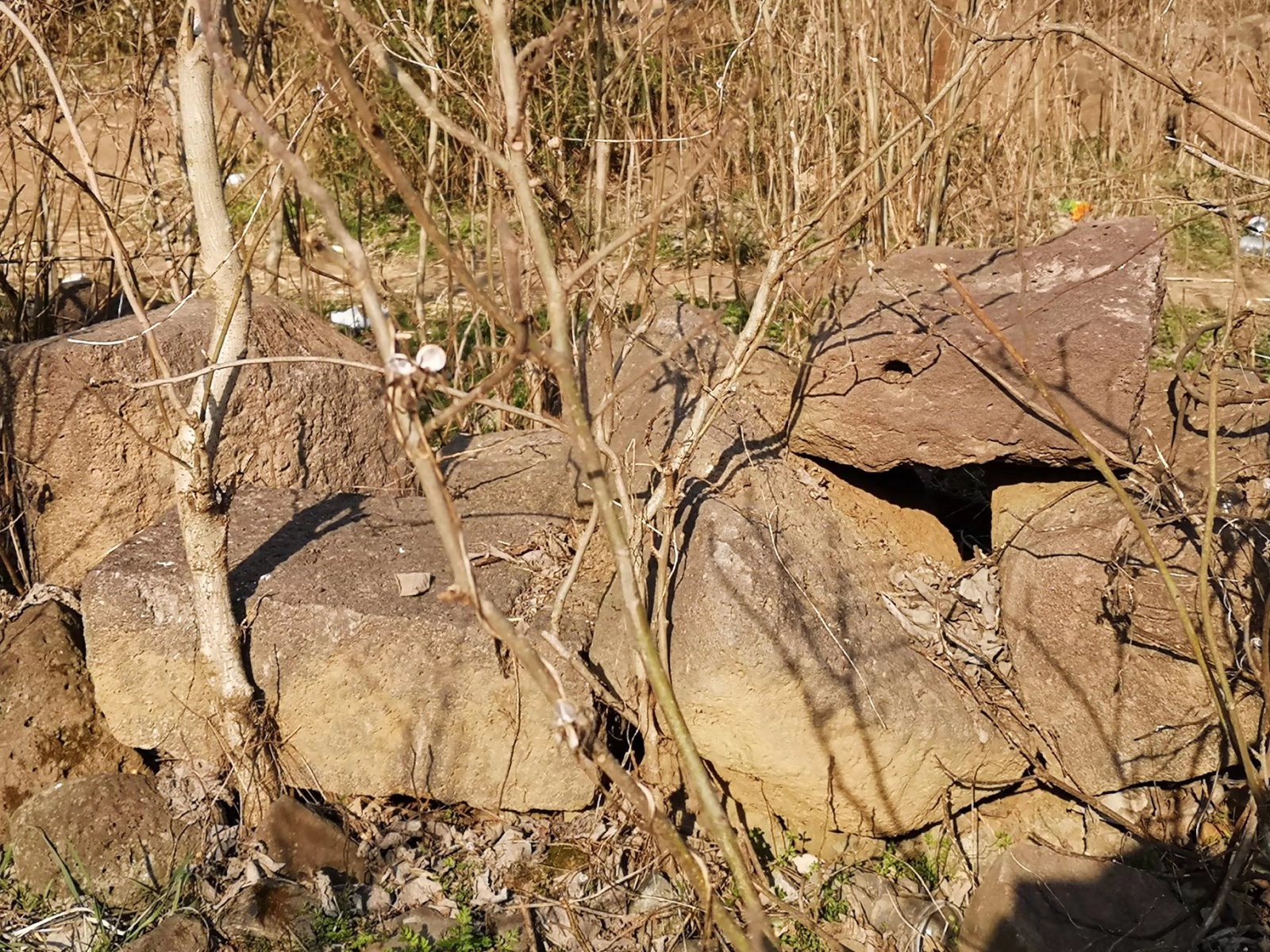 摩托周边旮旯游——探访明光法华禅庵塔