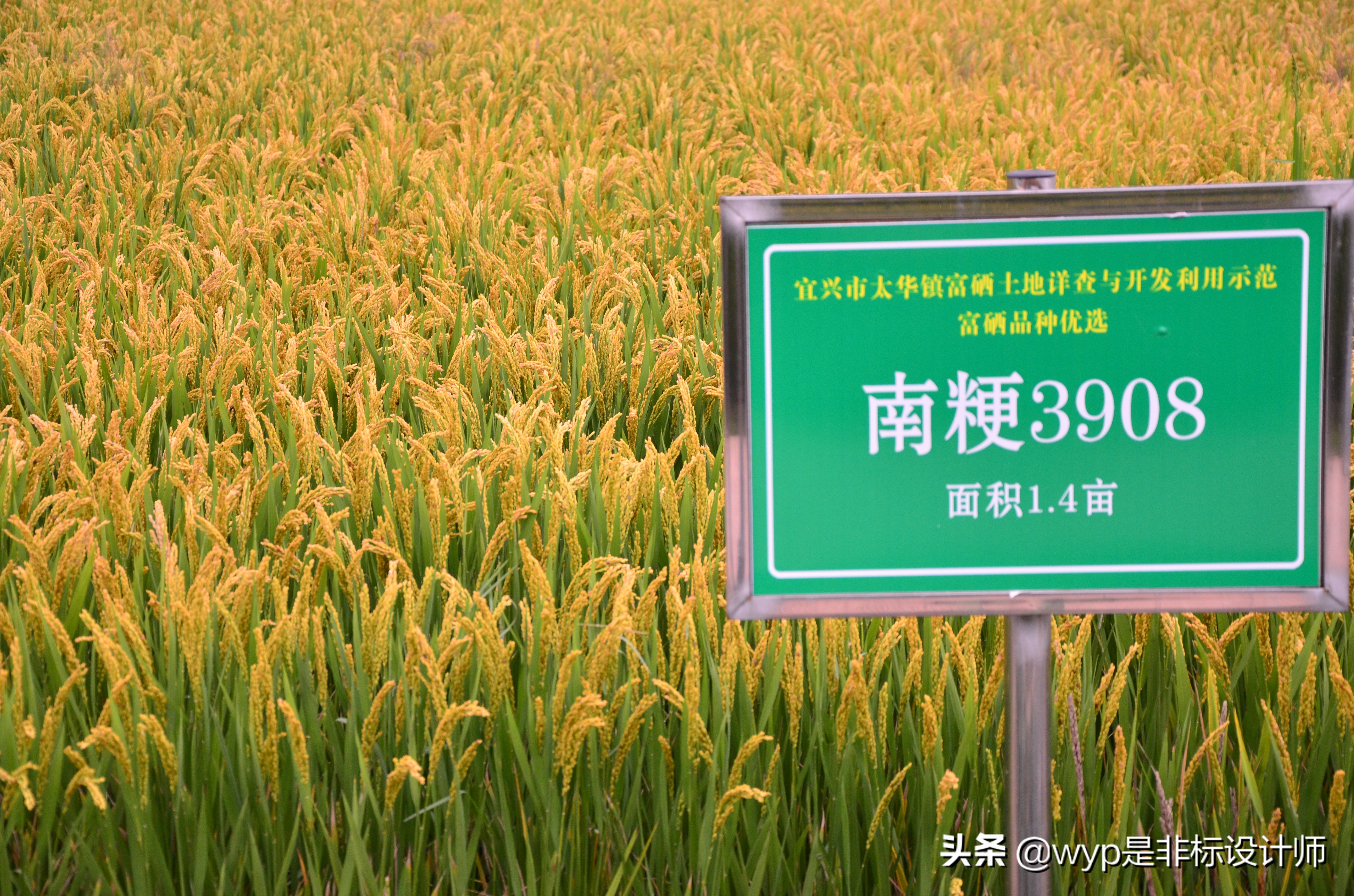 新型职业农民致富有高招,农村产业链致富新思路