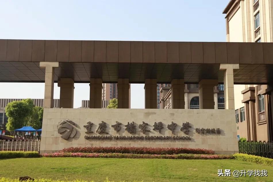 重庆小升初七龙珠择校信息汇总,重庆七龙珠初中分校最新排名