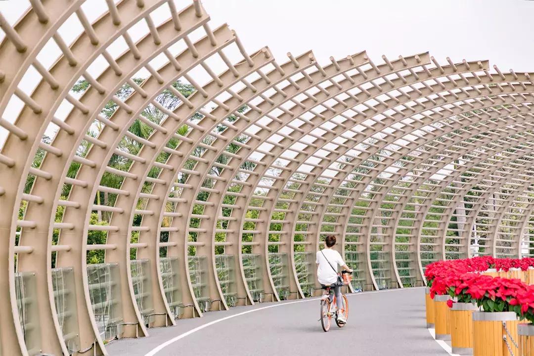 深圳十大一日游景点,深圳十大免费公园景点大全