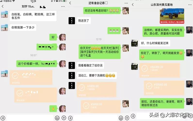 褐斑病怎么治好得快,褐斑病病斑