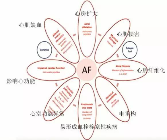 华法林,你用对了吗?