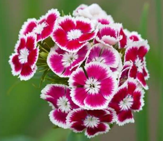 家庭不祥的四种信号,一个家庭一旦出现这3个征兆